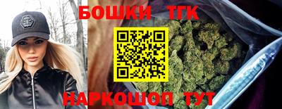 гашик Дубна