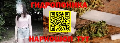 гашик Дубна