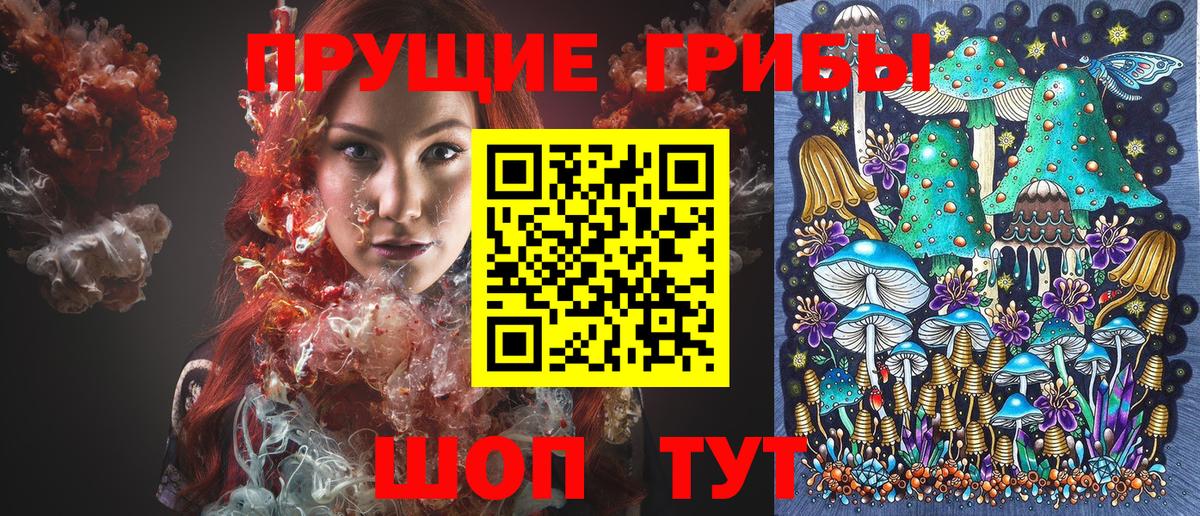 Псилоцибиновые грибы Magic Shrooms Москва