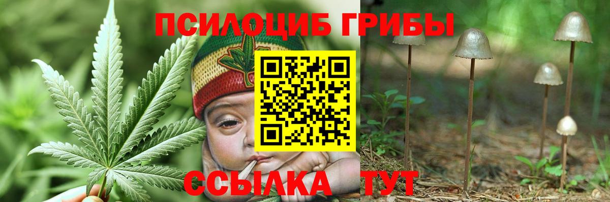 Галлюциногенные грибы Cubensis  Вход с VPN  Москва 